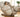 Why Every Home Needs a Full-Body Massage Chair